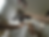 Raphael Reichert: i will always love you, 2023