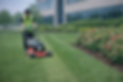 cutting grass picture.png