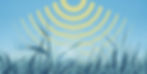 KakaoTalk_Photo_2024-09-05-12-55-49 006.jpeg
