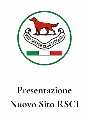 Online il nuovo sito del Red Setter Club d’Italia