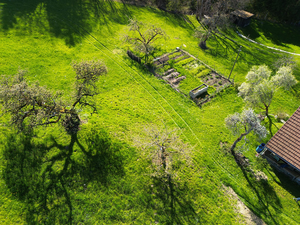 dji_fly_20260425_172742_809_1777132087959_photo.jpeg
