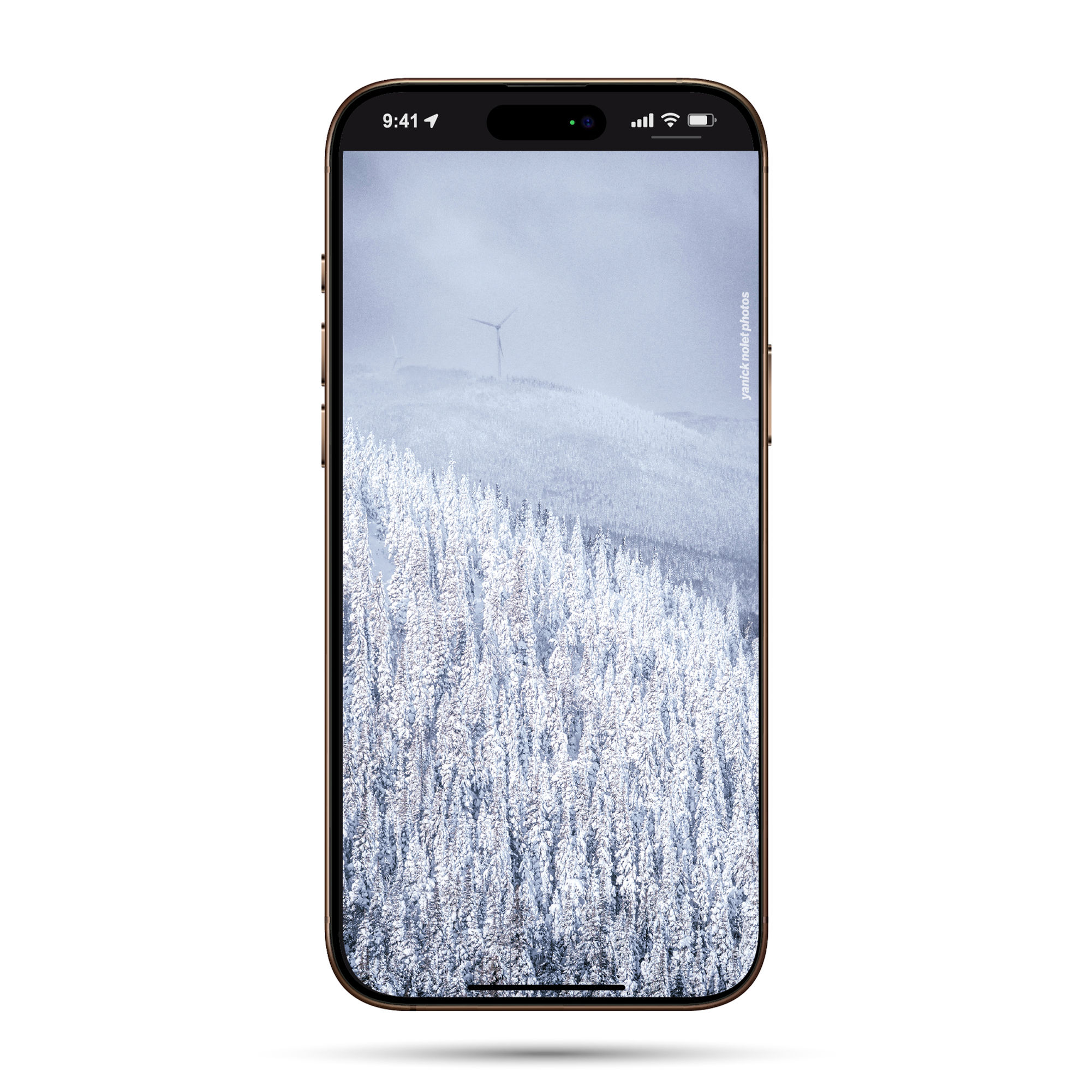 Fond d'écran (Cellulaire) - Mont York, Gaspésie