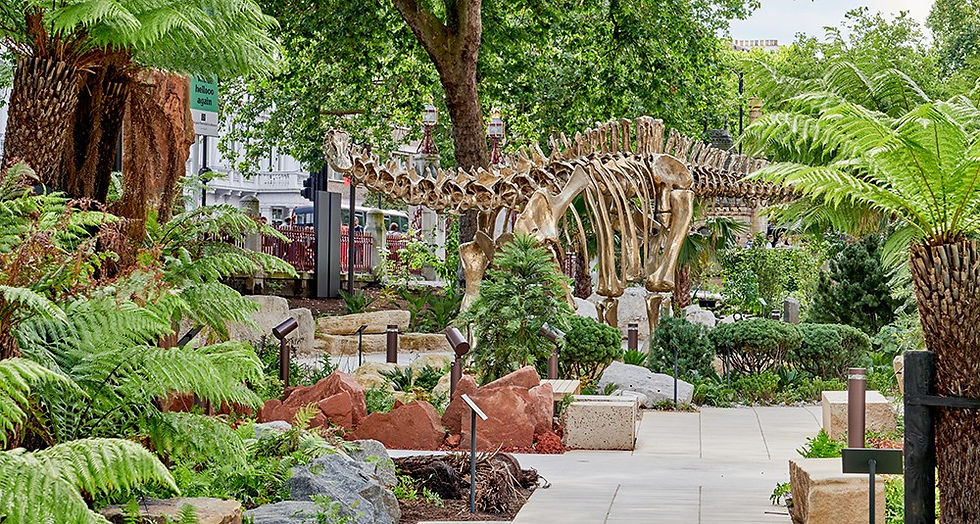 View of Natural History Museum