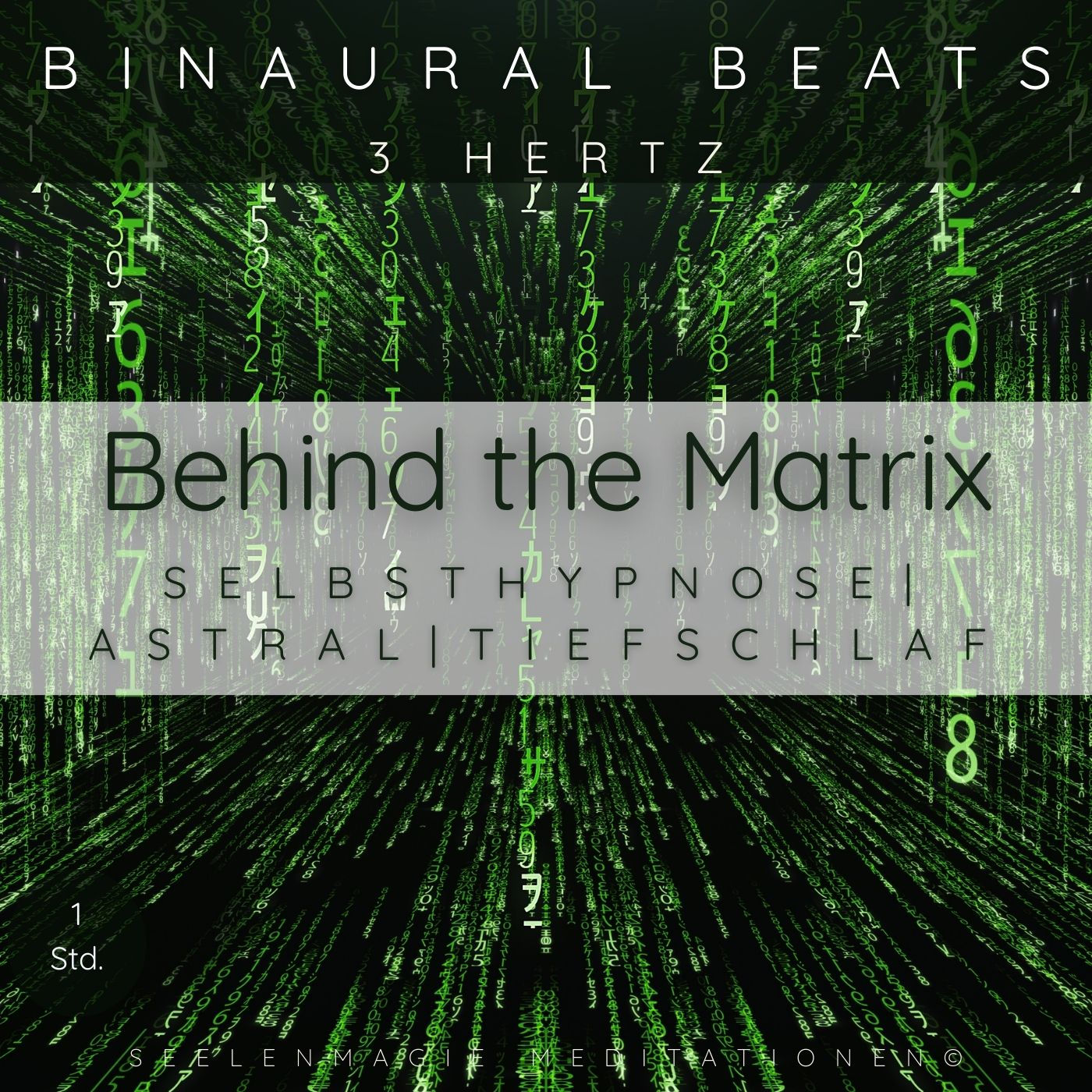 Behind the Matrix
