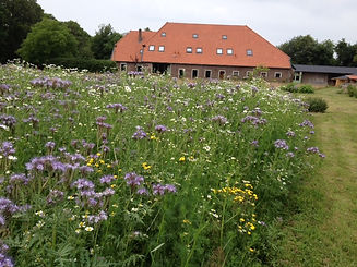 Hoeve wetermans 2.jpg