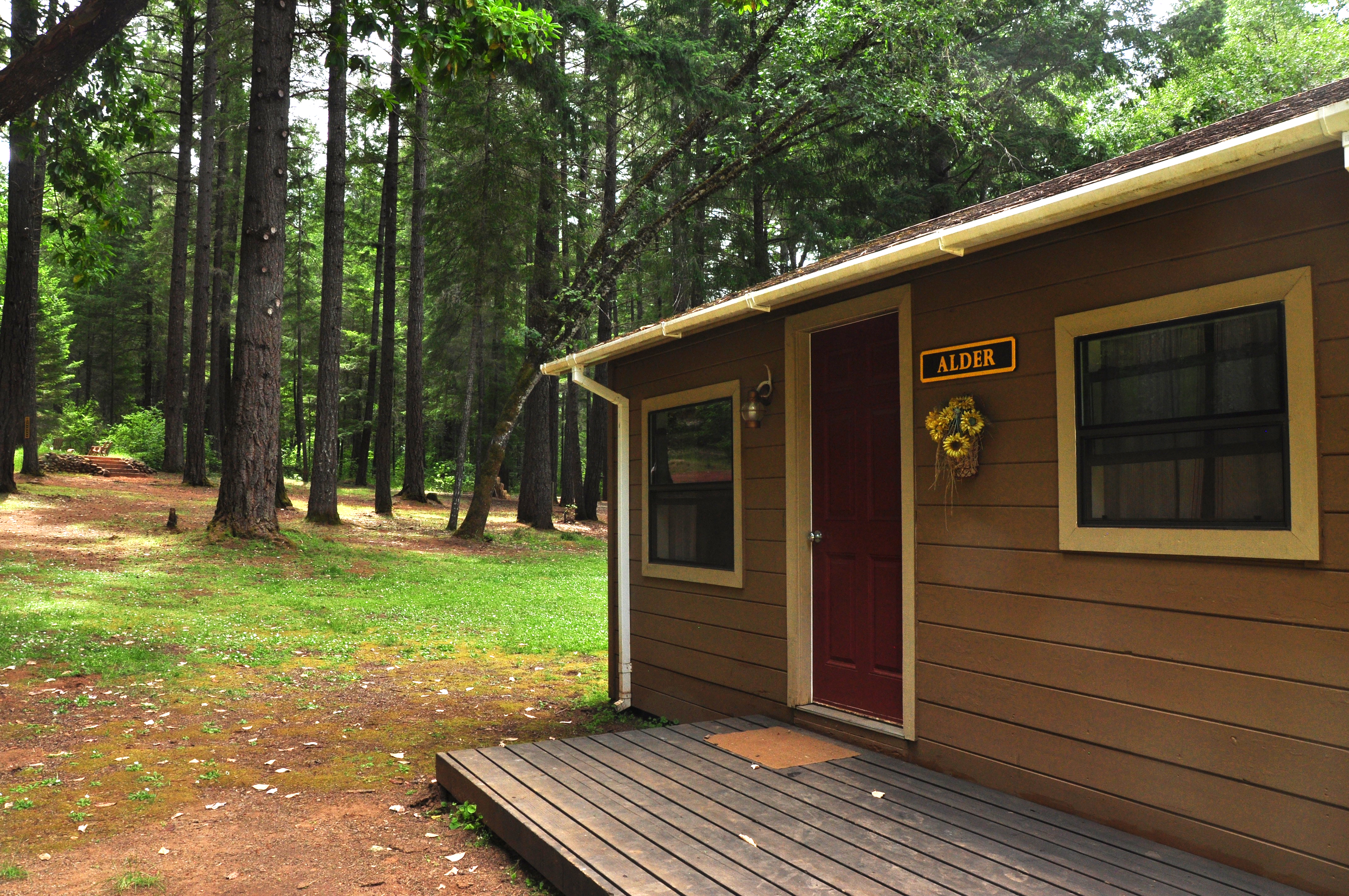 Alder Cabin