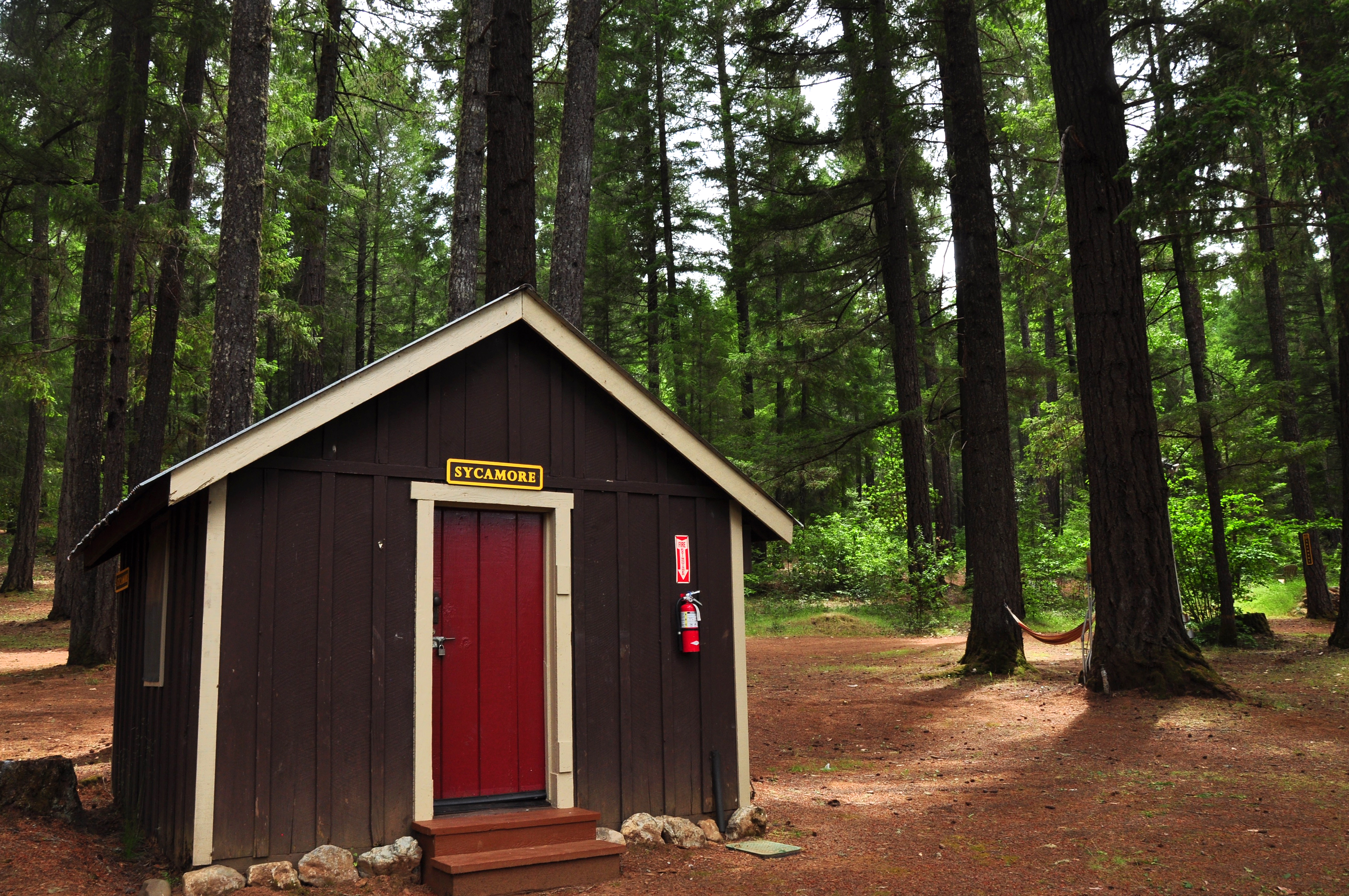Sycamore Cabin