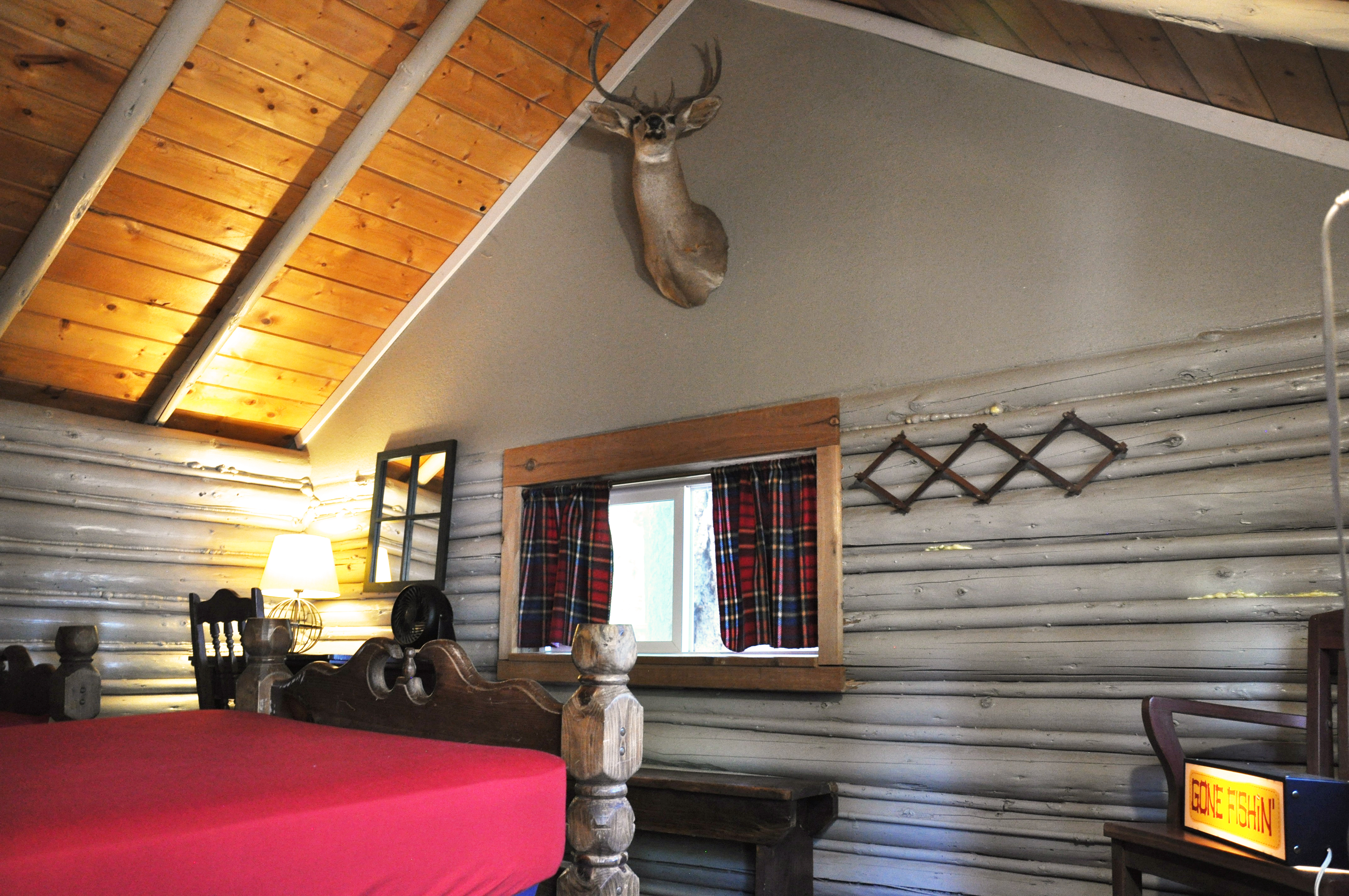 Fir Interior