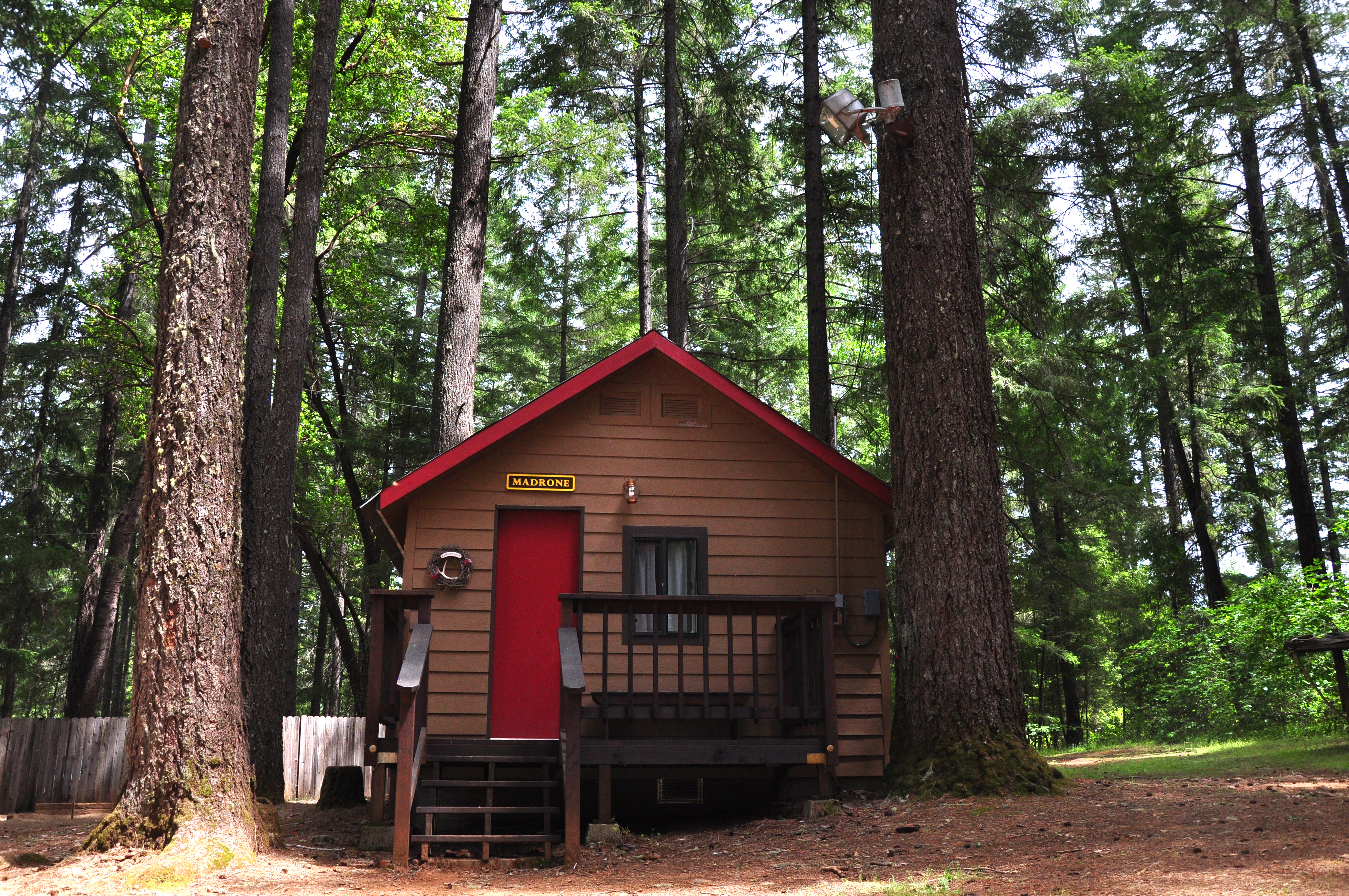 Madrone Cabin
