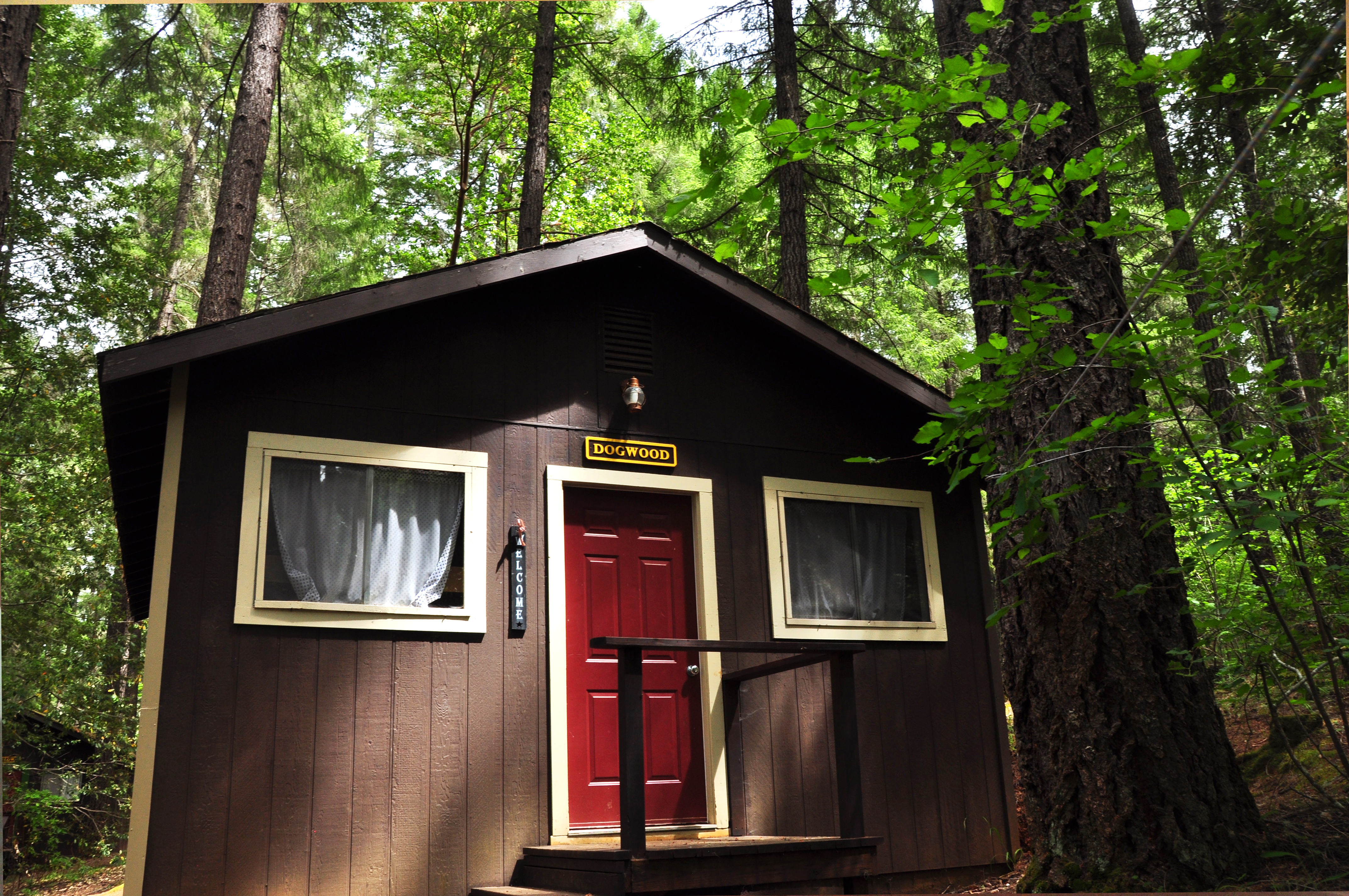Dogwood Cabin