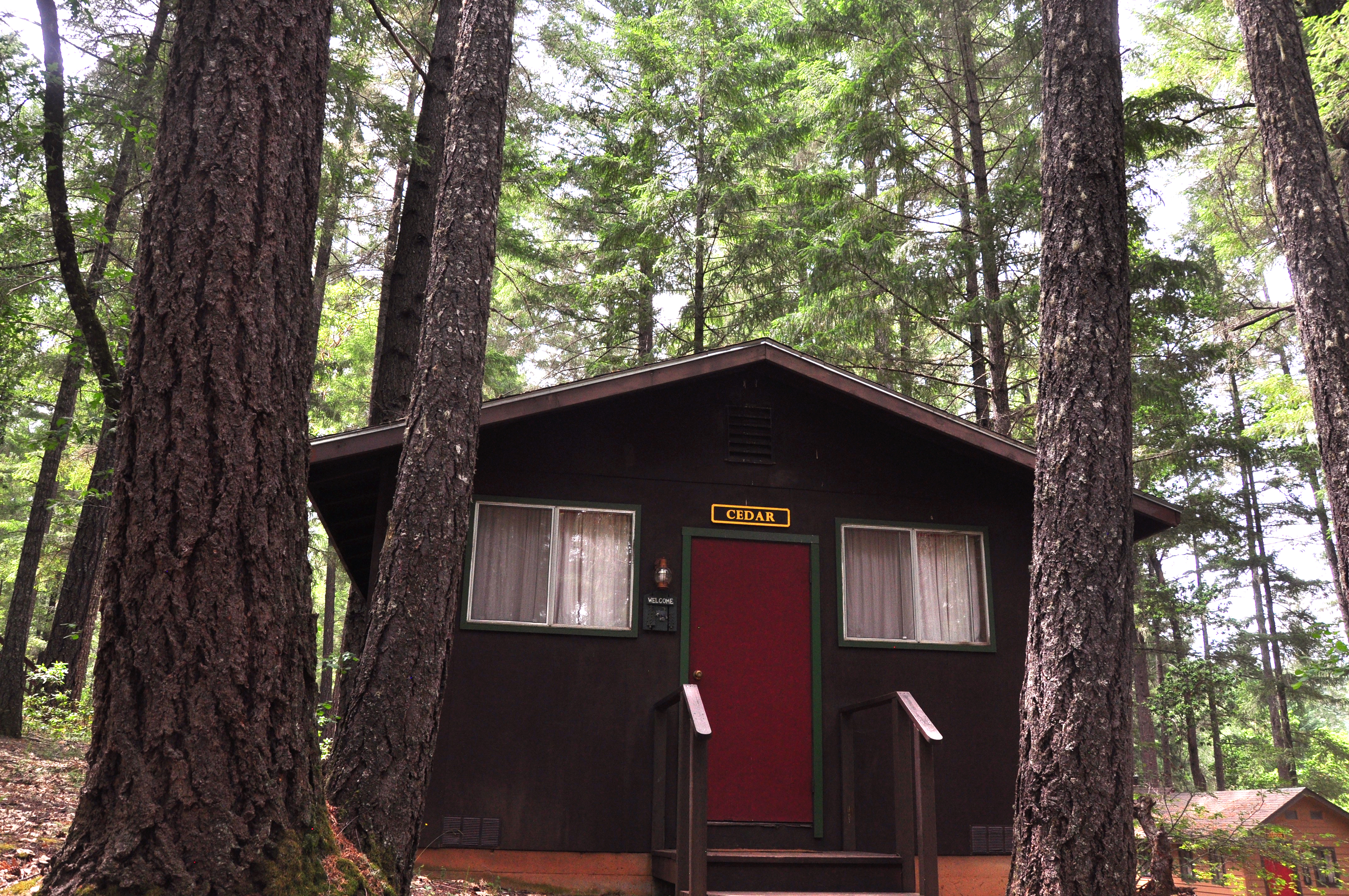 Cedar Cabin