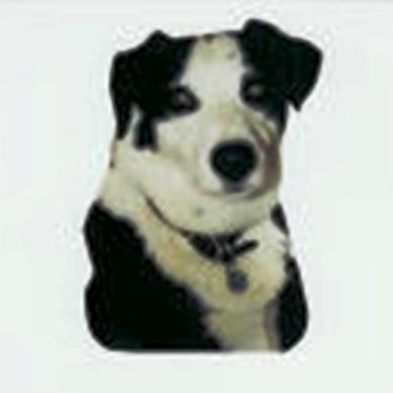 About McNab Shepherd Historical Society