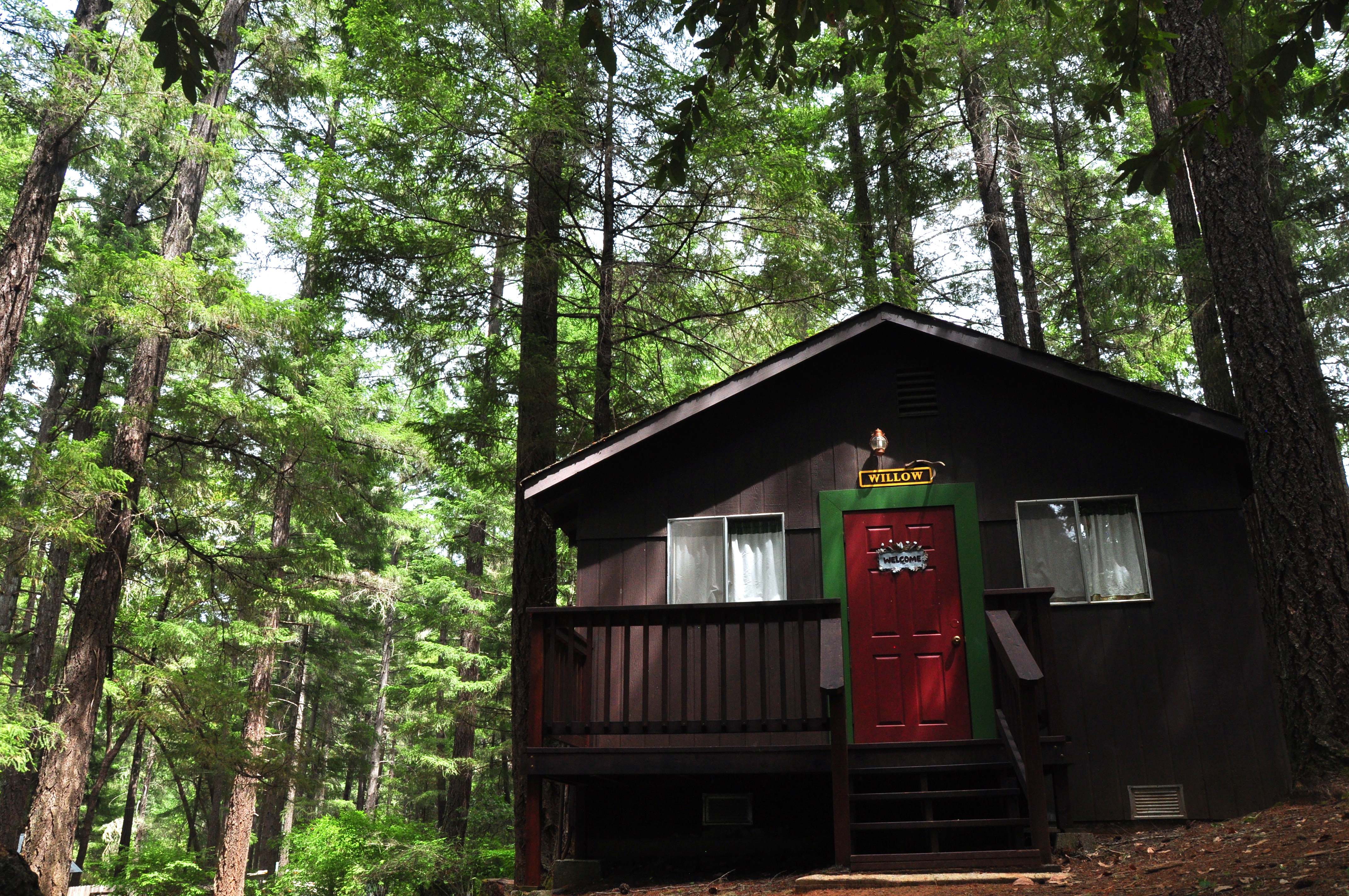 Willow Cabin