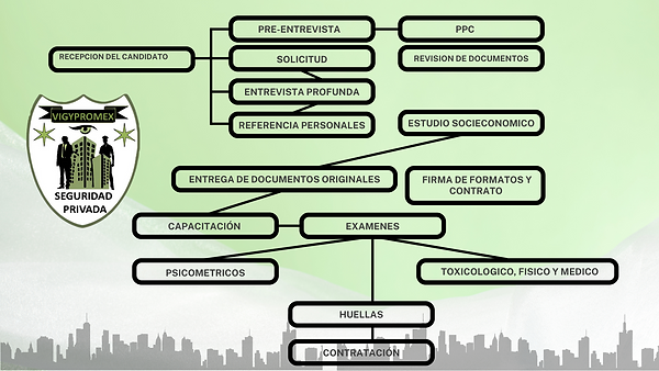 PRE-ENTREVISTA (3).png