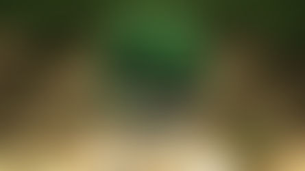 The Reenchantment of the World