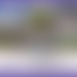 ARKANSAS JULY 2020 PRAYER WALK