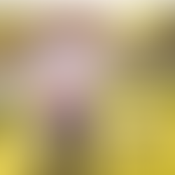 11.30.20 MSG FROM JESUS: ISAIAH 55:6 "Seek the Lord while He may be found, Call upon Him...