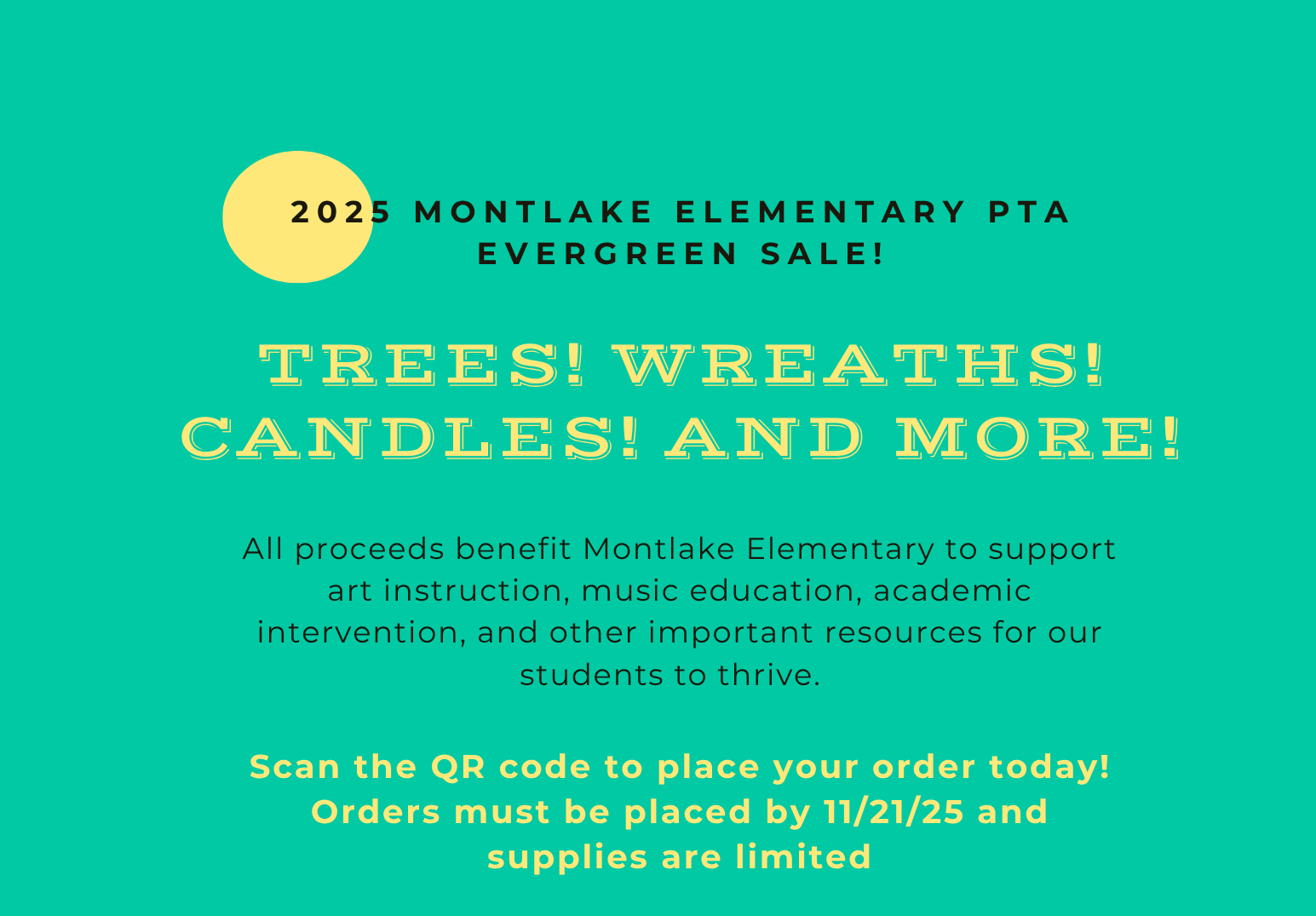 It's the most wonderful time of the year - time for our holiday Evergreens sale!