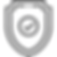 shield (1).png