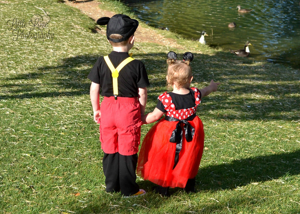 mickey & Minnie 2 wm