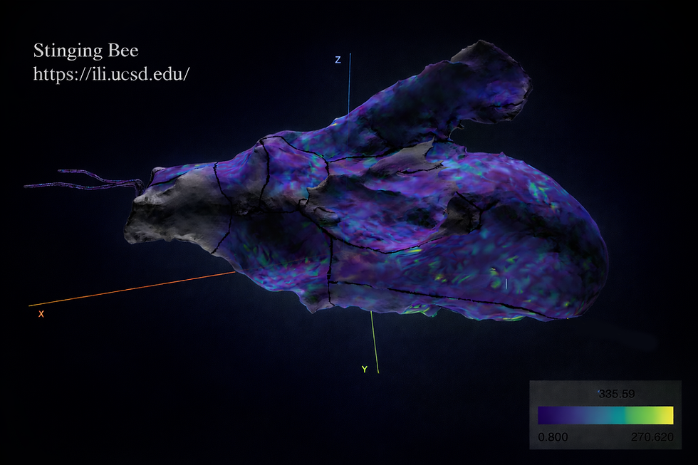 3D molecular and microbiome mapping visualization of a bee stinging.