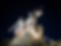 DK_Title.webp