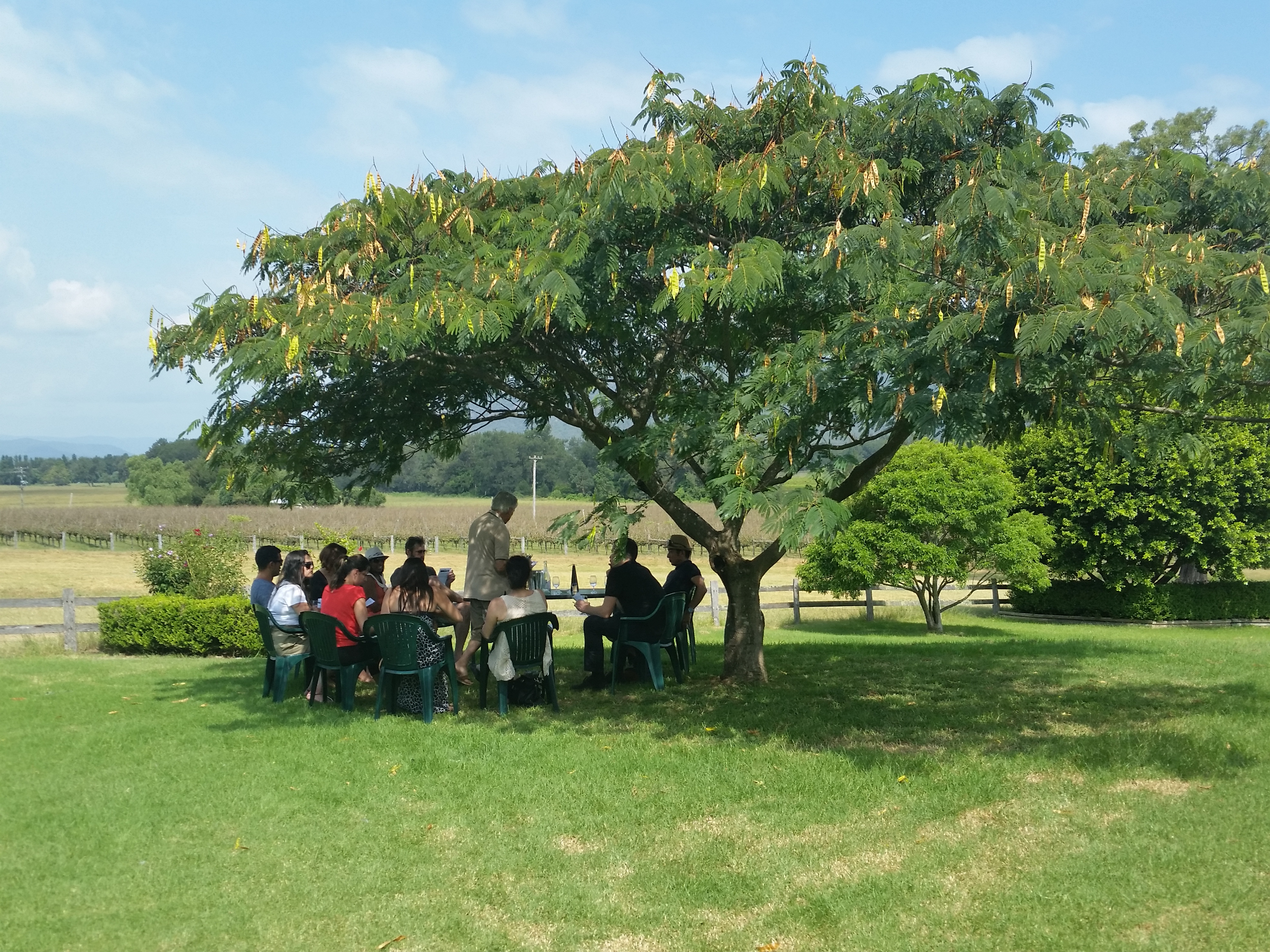 Wine Tours Hunter Valley