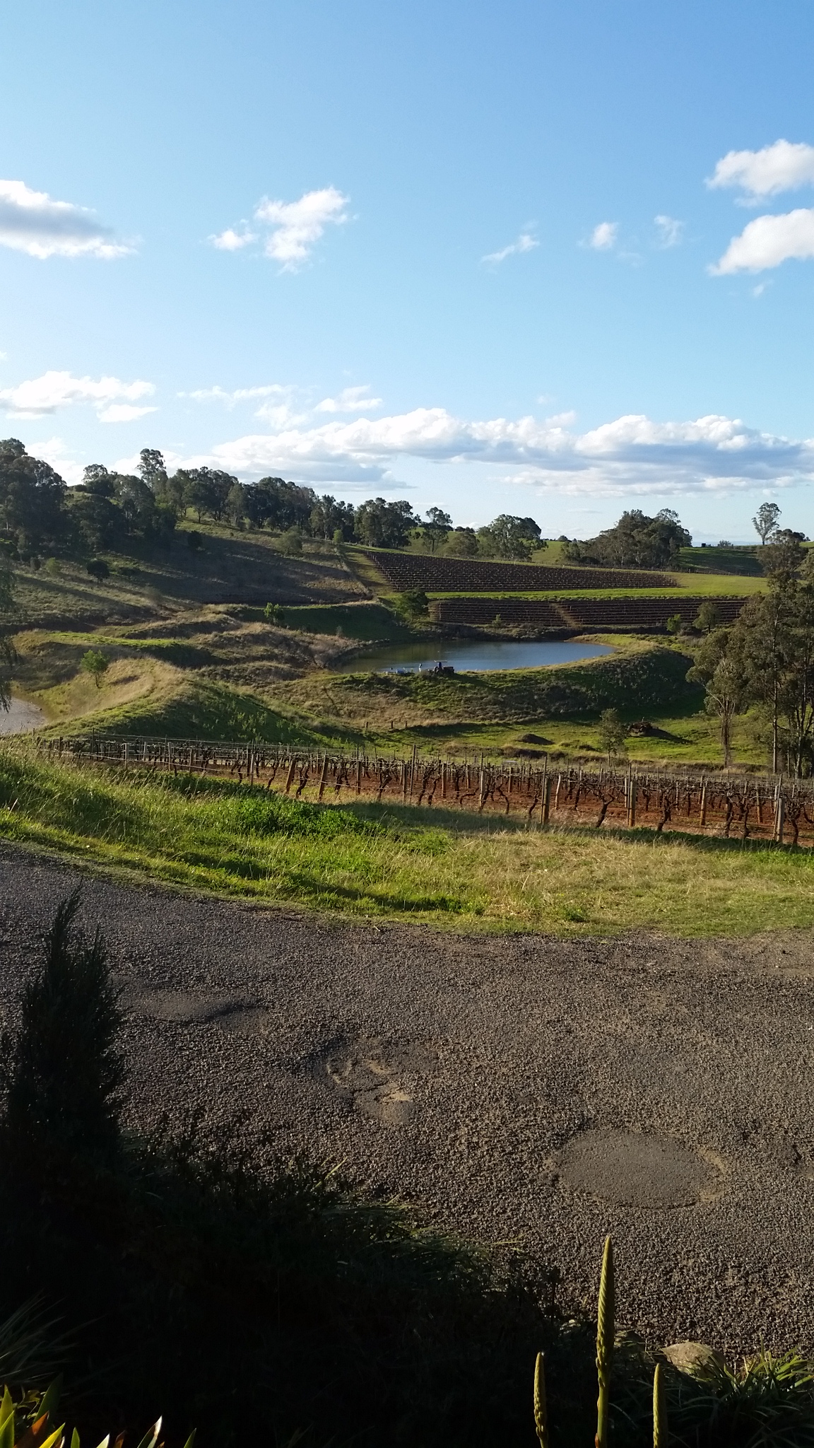 Wine Tours Hunter Valley