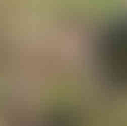 Young girl eating a food pouch on an electric post hole digger