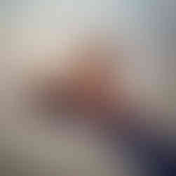 Blond dog laying on the sand at the beach