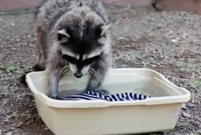 1405358529_942065695.gif