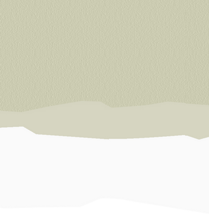 Ripped Paper Transparent