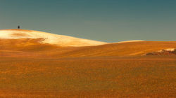 3964-Alone-on-the-hill