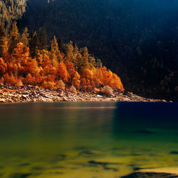 4041-Breathing-autumn