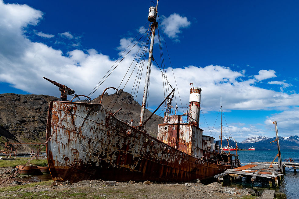 Whale catcher "Petrel" at Grytviken