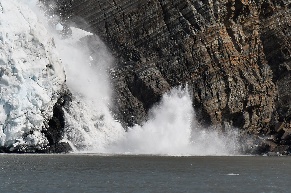Gold harbour - Bertrand’s Glacier