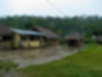 Riverside village (Rio Napo) in the Muyuna district