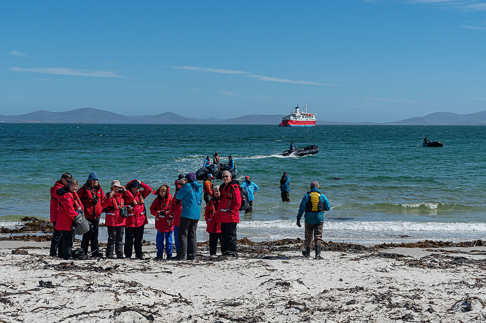 Landing at Saunders Island