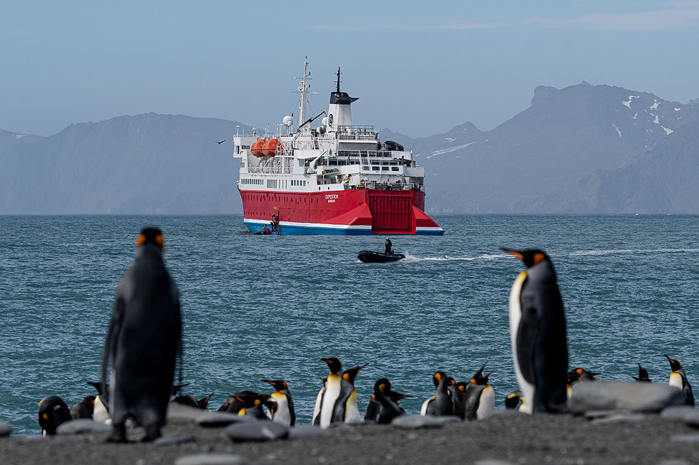 South Georgia - Gold Harbour