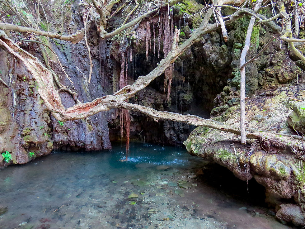 Bath Of Aphrodite (on the Akamas Peninsula)