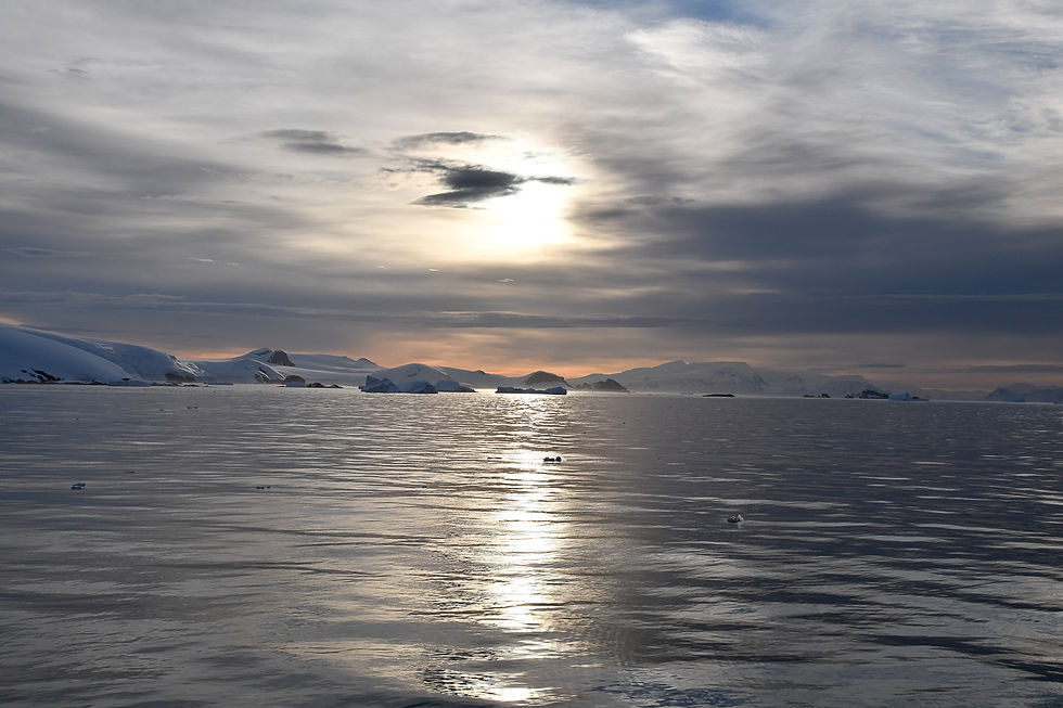 Evening light on the Gerlache Strait