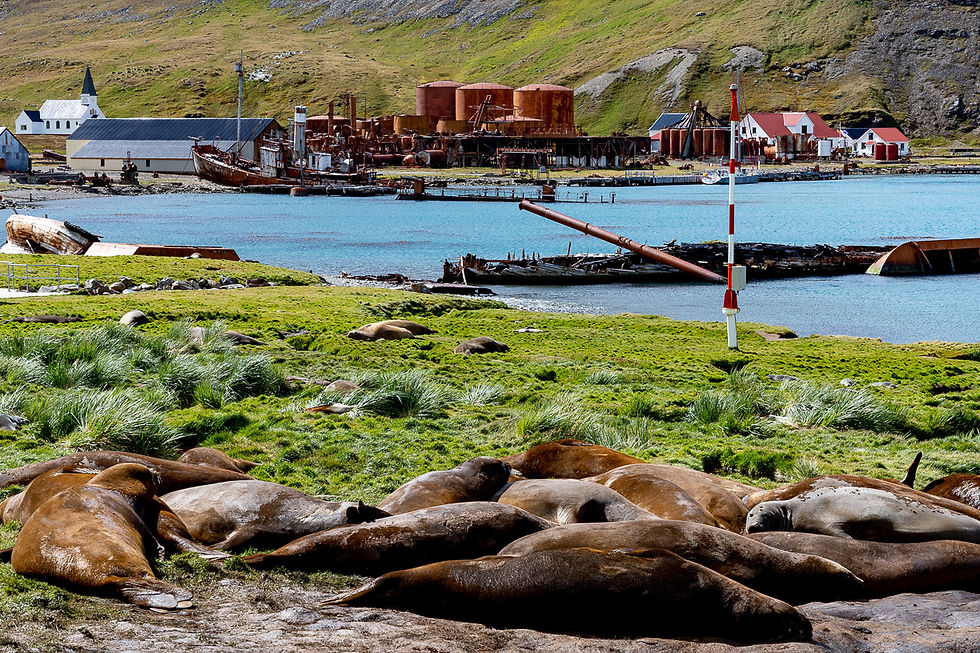 Grytviken Whaling station