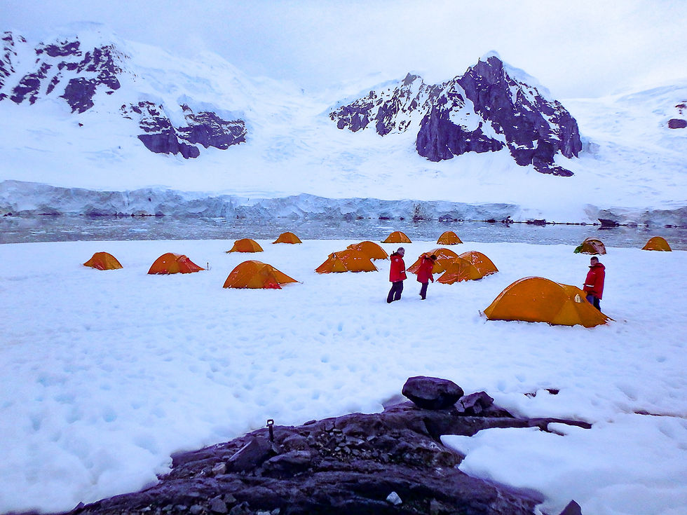 Camping on Leith island (Paradise Bay)