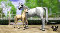 Fara mit Mutter Fatifa