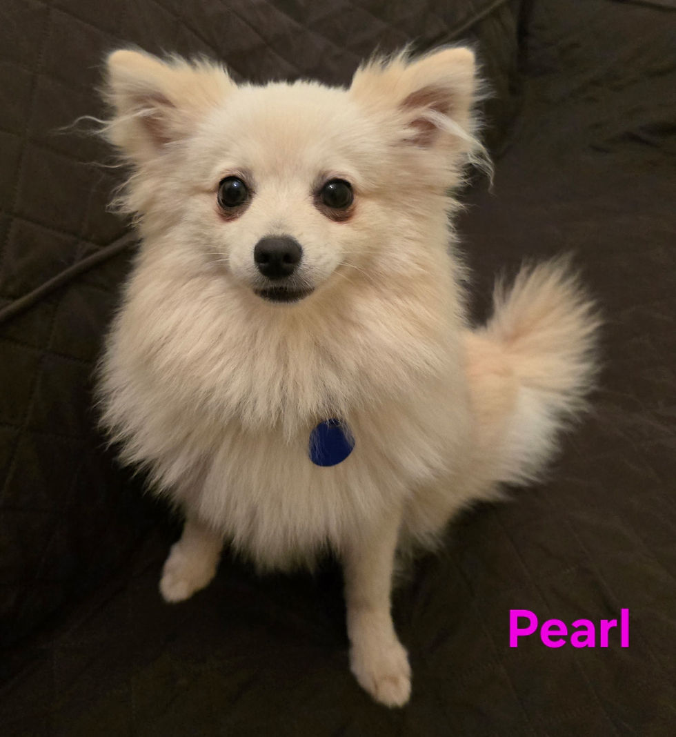 Prettiest Pearl you've ever met