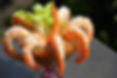 Appetizers