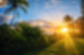 Sunrise again.jpg
