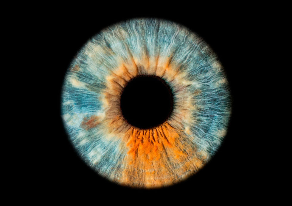 Iris Foto iride Milano la tua iride è un'opera d'arte