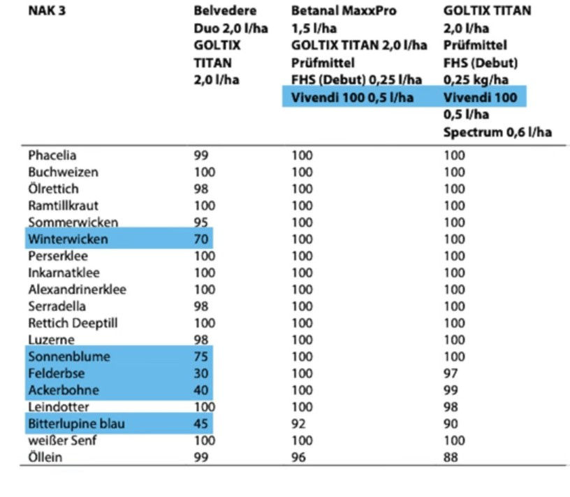 Wirksamkeit verschiedener Zuckerrübenherbizide gegenüber 19 Zwischenfruchtarten
