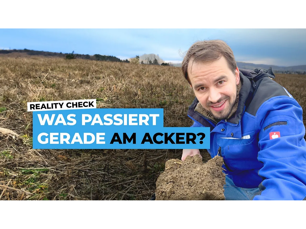 Was macht meine Zwischenfrucht gerade? Welchen Einfluss hat das CN-Verhältnis auf die Bodenstruktur?